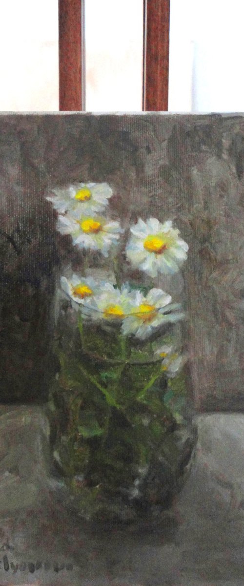 Daisies by Radosveta Zhelyazkova