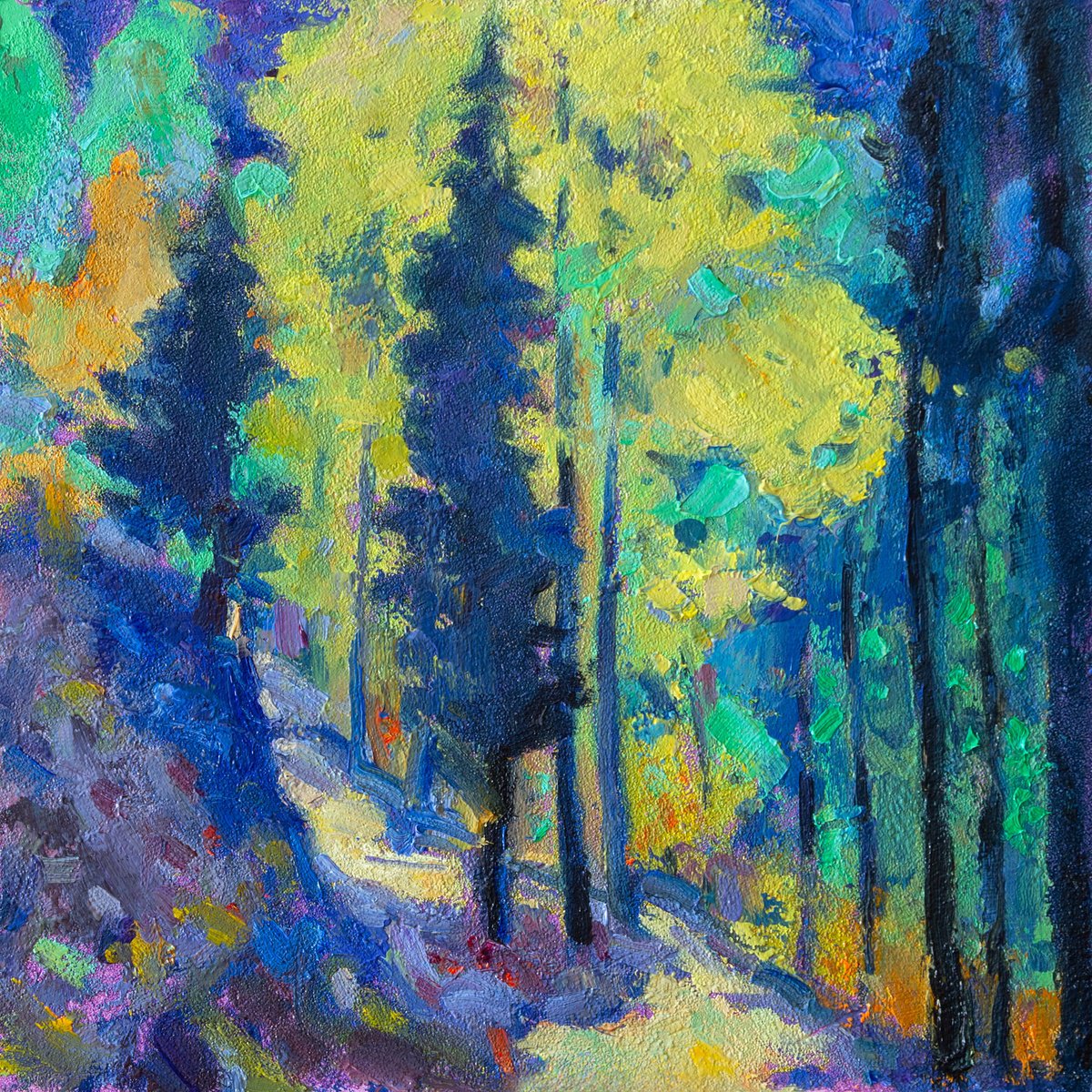 Impressionistic Landscape Oil Painting By Daria Zavadenko, 12 X 12, Forest Glow, Original Artwork