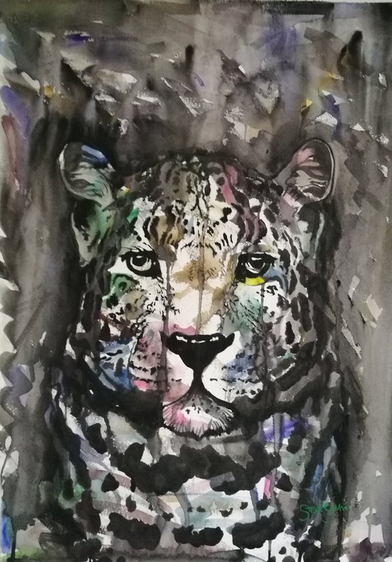 Leopard ( on paper )
