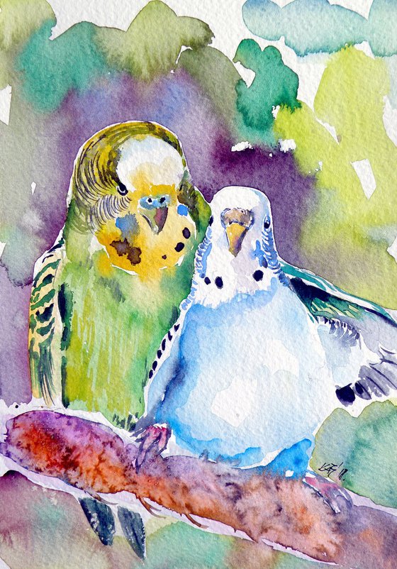 Cute parrots