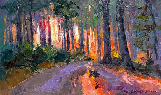 Summer Morning at Sunrise