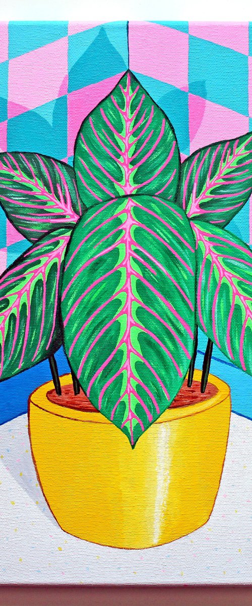 Maranta Prayer Plant Canvas by Ian Viggars