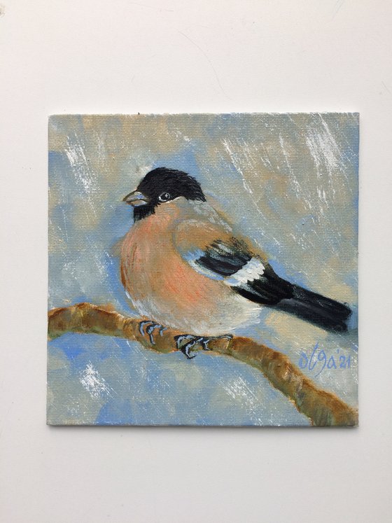 Diptych oil paintings - Bird small canvas - Bullfinches for bird lover - Christmas gift idea