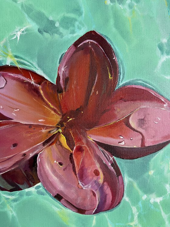 Hibiscus Turquoise Water