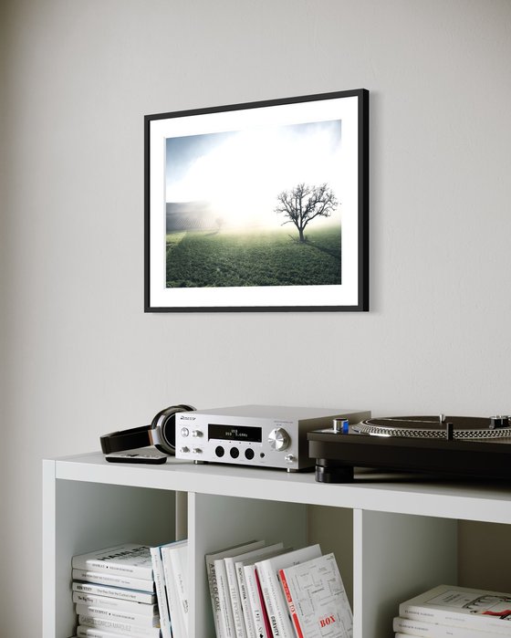 THE HILLS BEHIND THE FOG