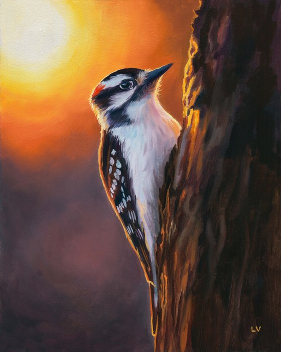 Downy woodpecker bird on a trunk