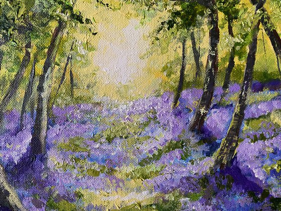 Bluebells