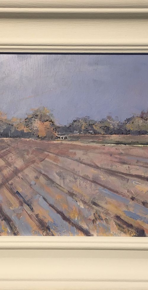 Wet field near the river, Buxton. by Tom Cringle