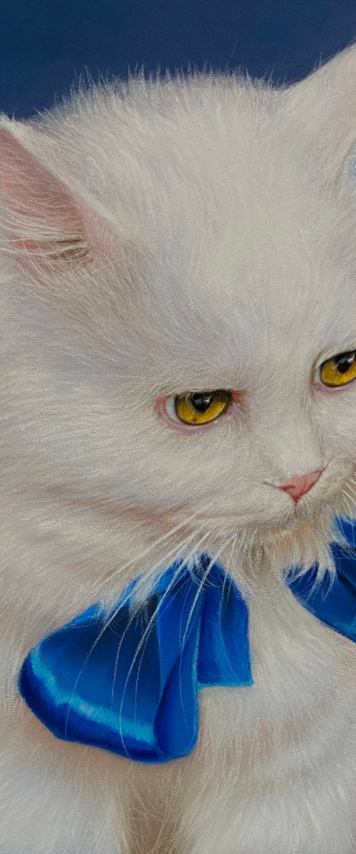 Cat Cupid. Pet portrait.. Original Pastel Portrait by Elena Bondarenko