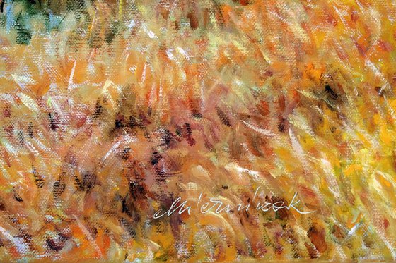 Weitsee 1. (Bavaria)