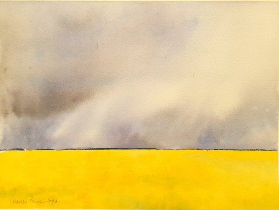 Fields of Gold