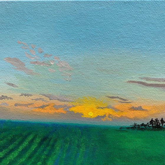 Field Sunset! Miniature landscape painting