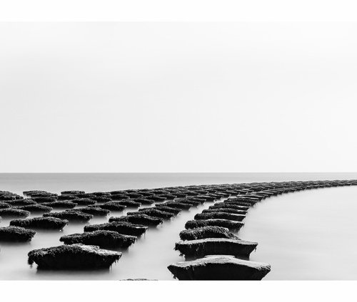 Cobbold Point B&W Suffolk by Michael McHugh