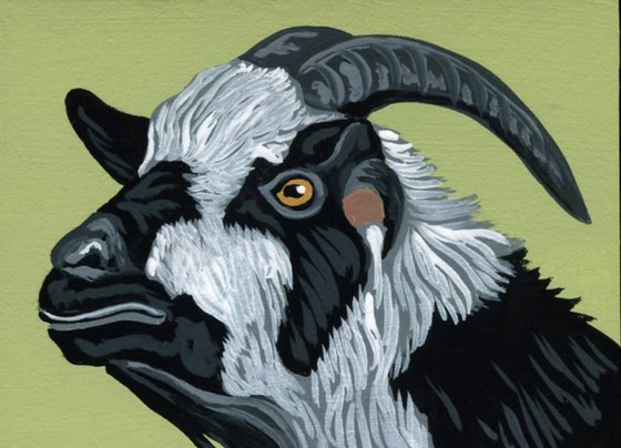 ACEO ATC Original Miniature Painting Black White Goat Pet Farmyard Art-Carla Smale