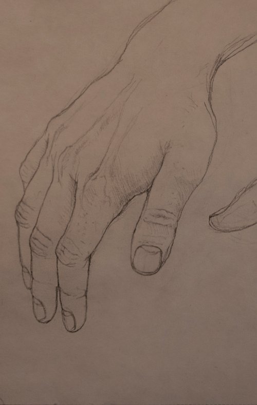 Hand Study  - Three hands by Nikola Ivanovic