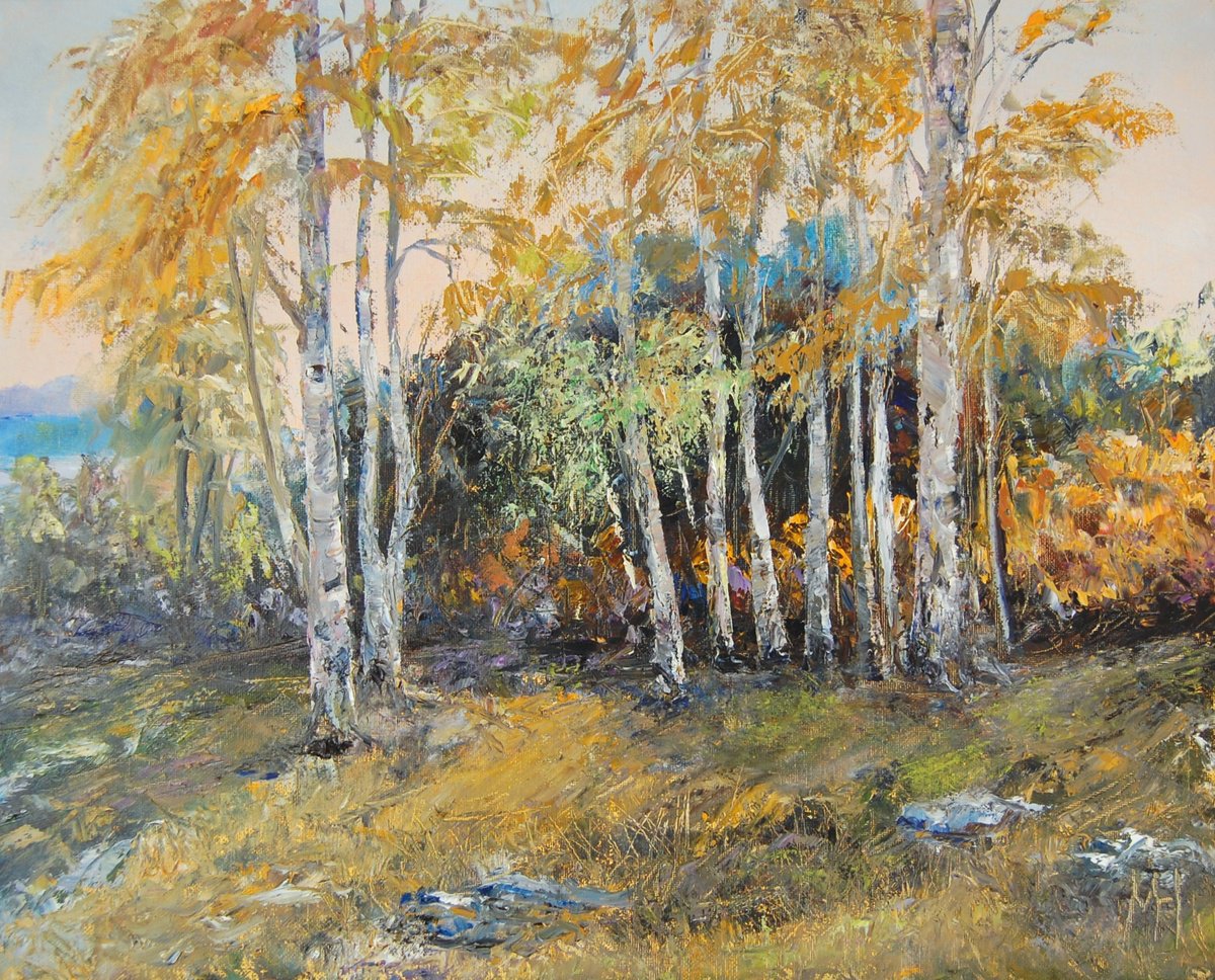 Birch trees by Mikhail  Nikitsenka