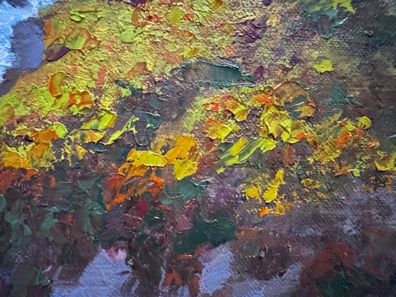 Late Morning At Point Lobos