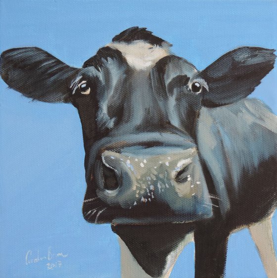 Cow face 8" x 8"