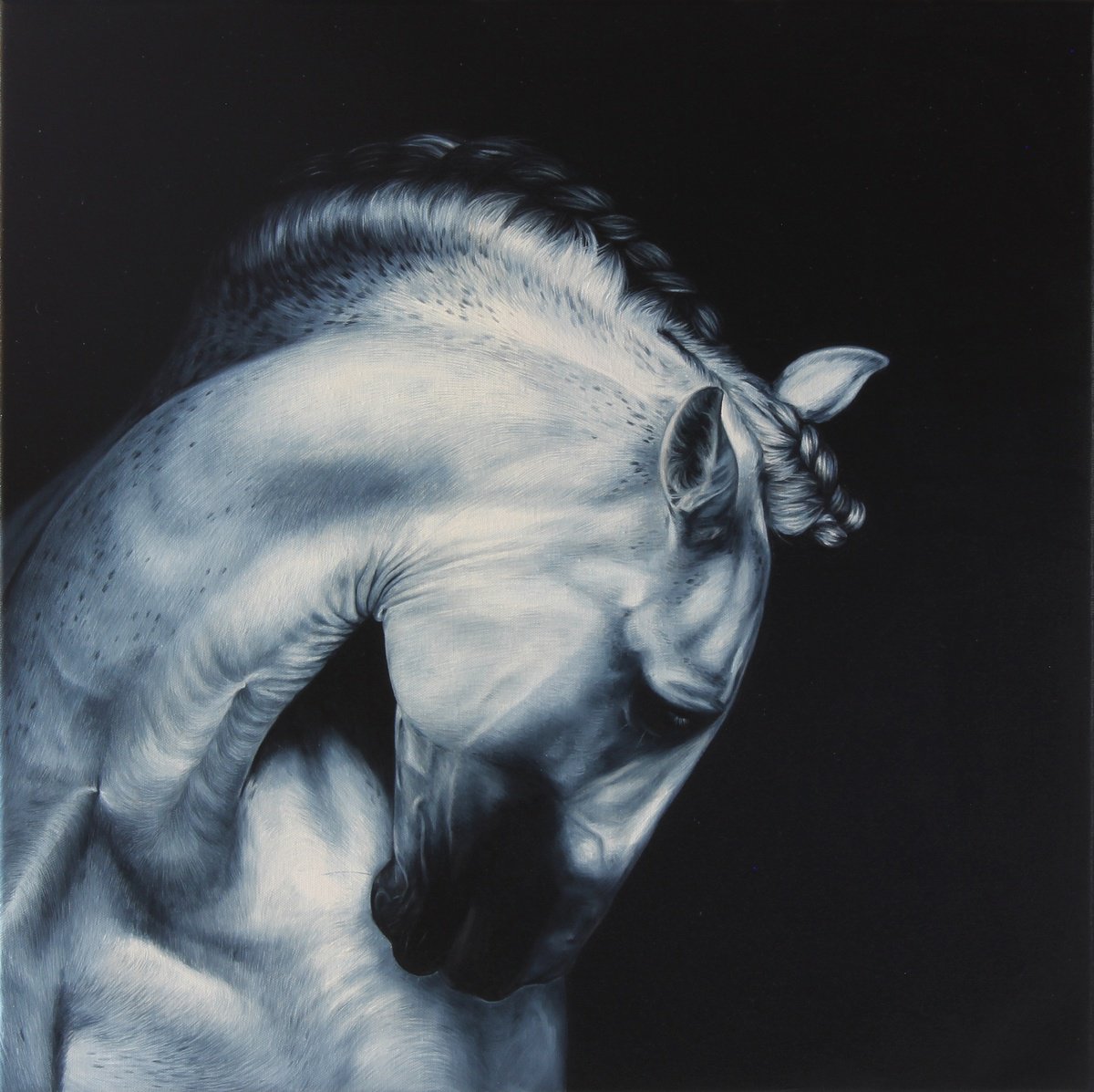 Photorealistic Oil Painting , Andalusian Horse By Marie Madej, 24 X 24, Artwork For Sale On Artfinder