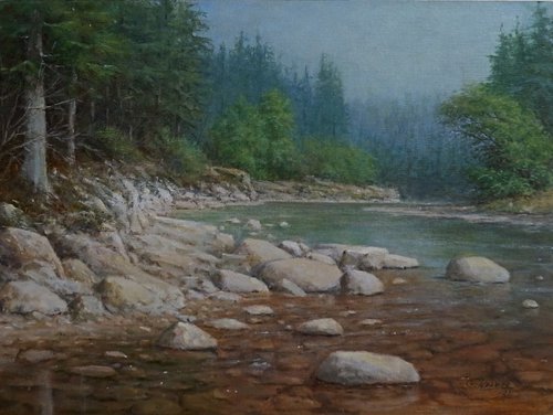 A  mountain stream by Gerard Kramer