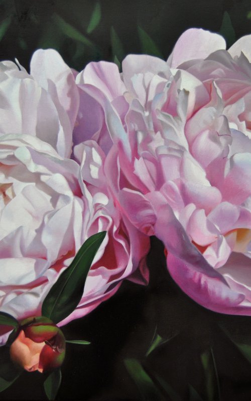 Peony painting, Hyperrealism art by Valeri Tsvetkov