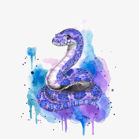 Colourful Snake Painting