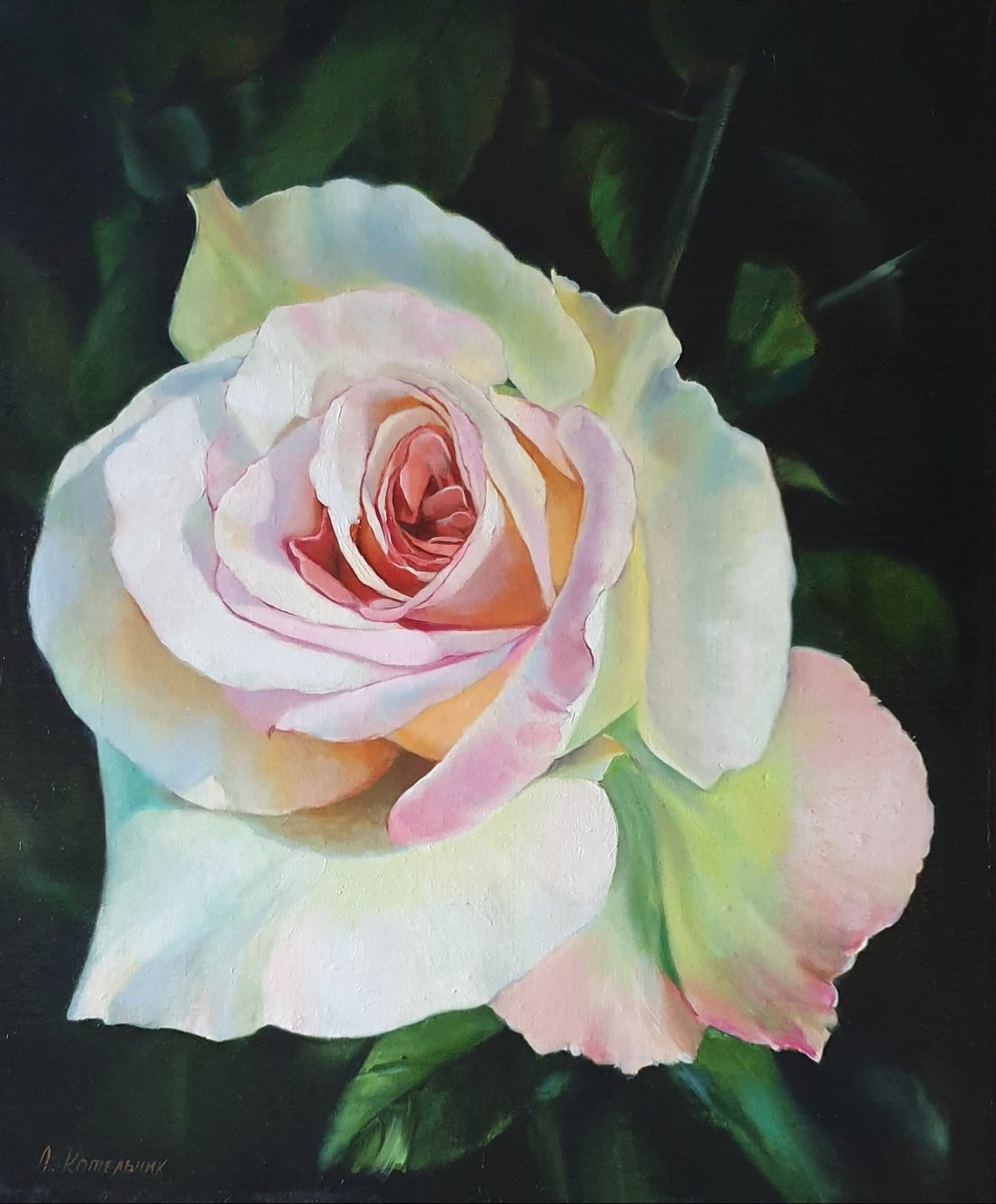 Unusual rose  rose flower  liGHt original painting  GIFT (2020) by Anna Kotelnik