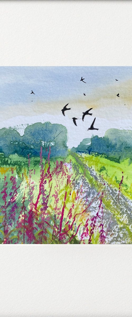 Seasons -  First sightings of Swallows by Teresa Tanner