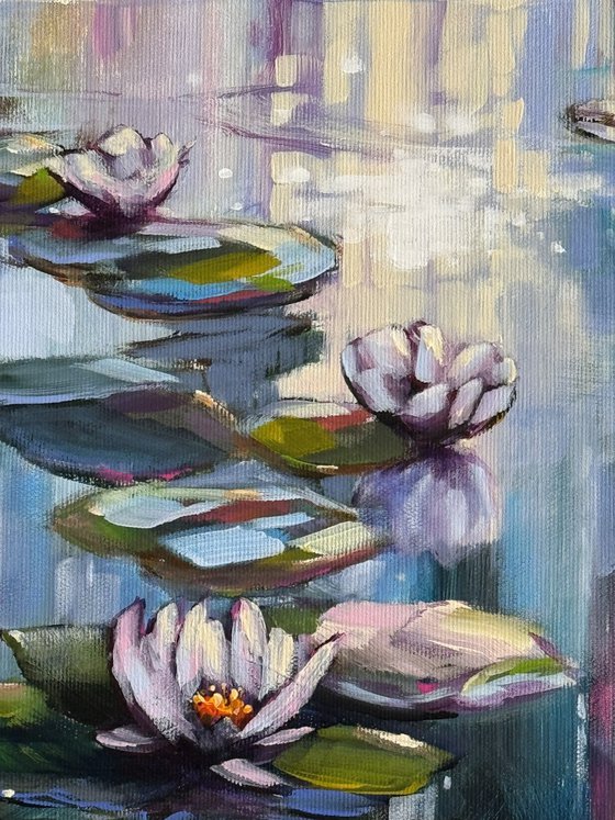 Light & Water Lilies 1