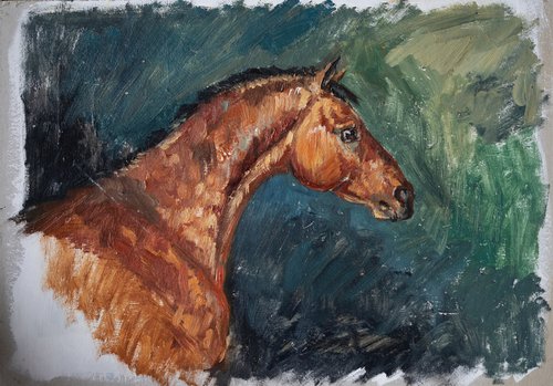 Oil painting sketch of bay horse by Fefa Koroleva