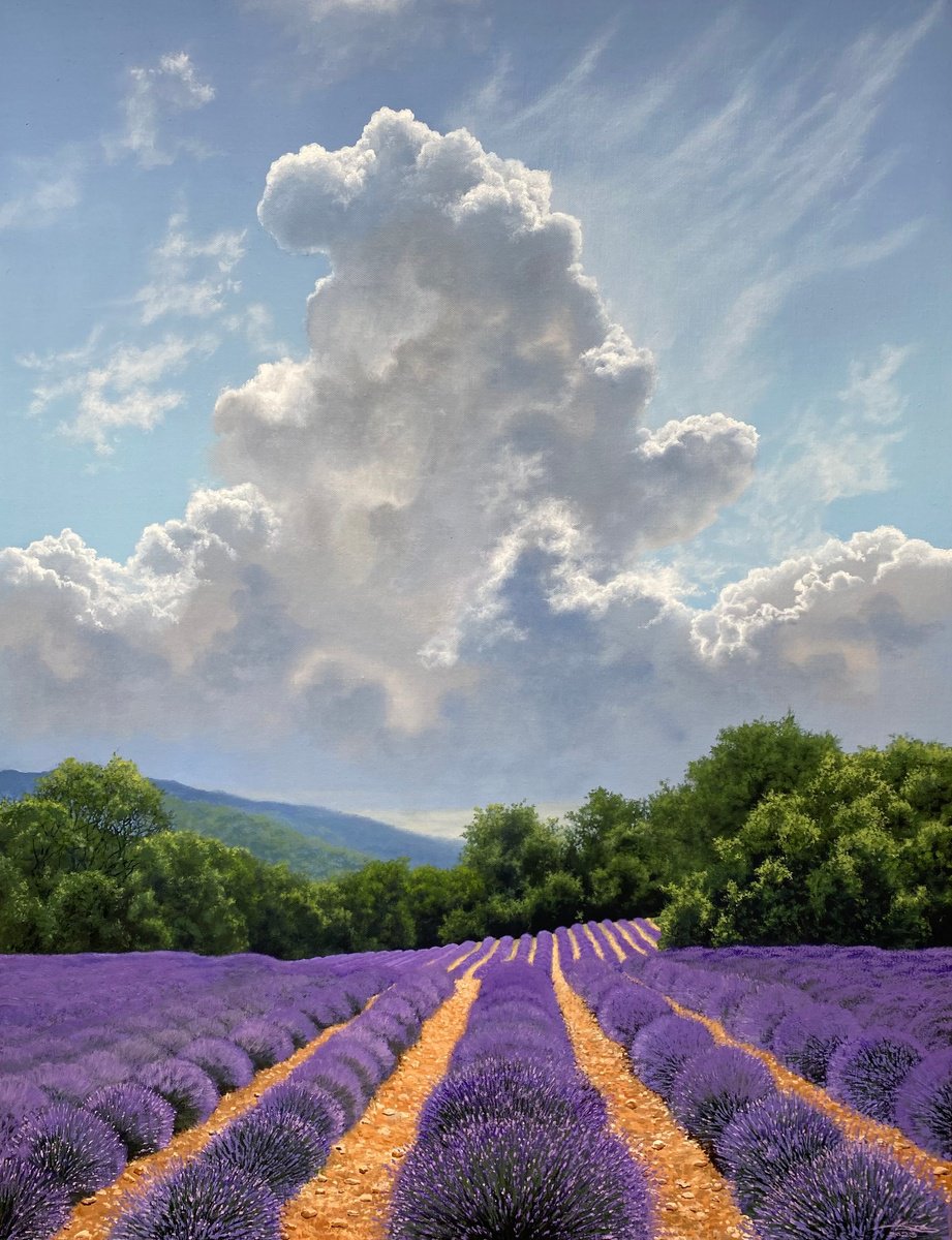 Valensole by Igor Dubovoy