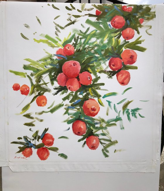 Red apples