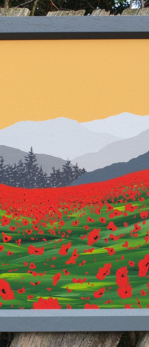 Borrowdale Poppies, The Lake District by Sam Martin