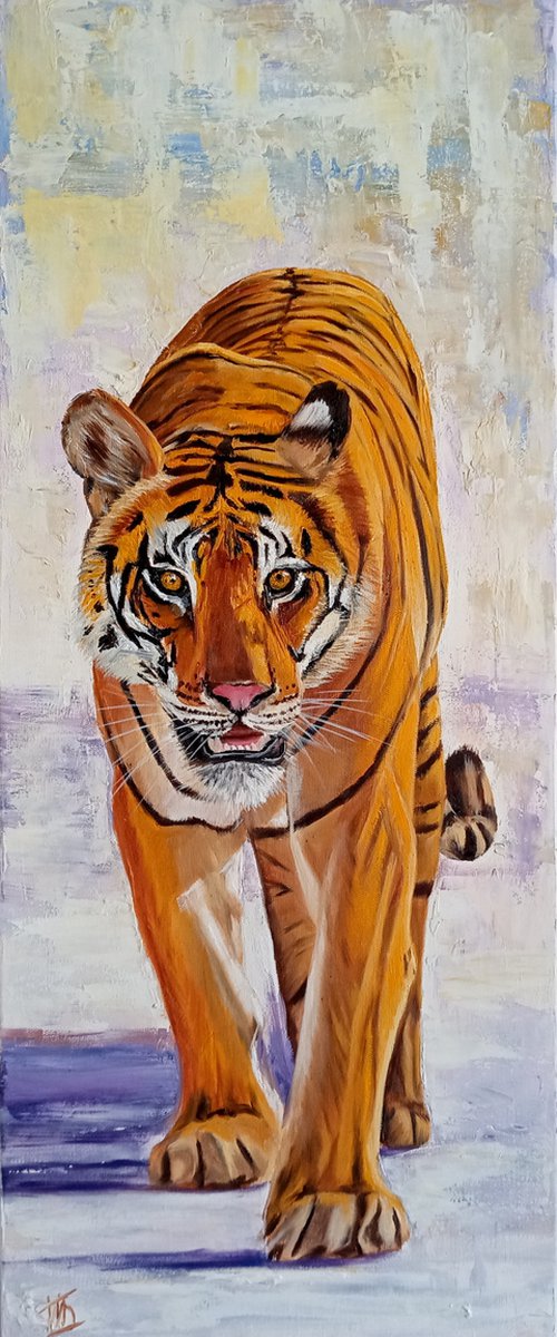 Tiger for a walk by Ira Whittaker