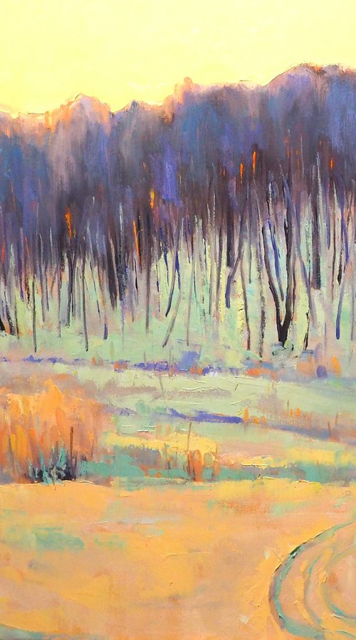 Winter landscape by Yuanyuan Liu