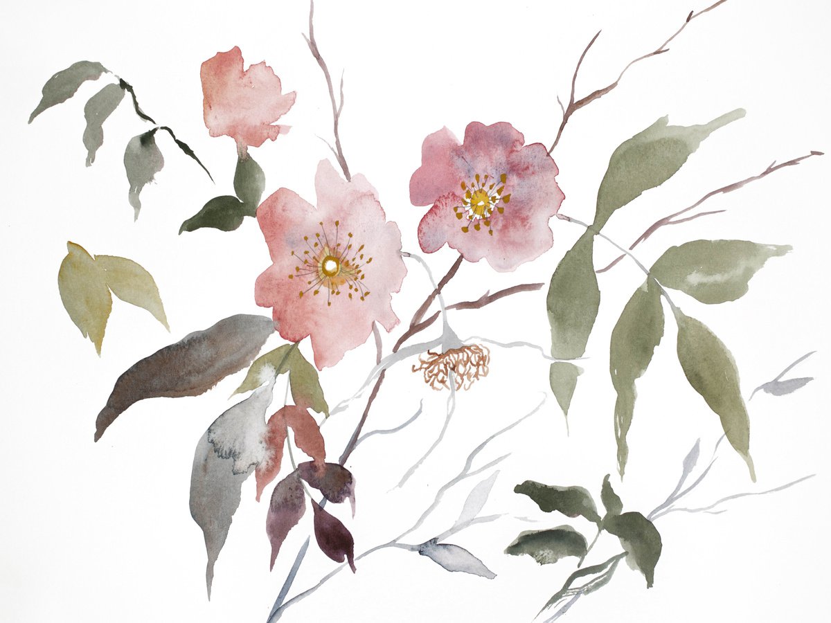 Wild Rose No. 21 by Elizabeth Becker
