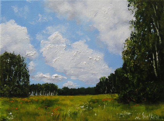 Cloudy Sky, Summer Landscape