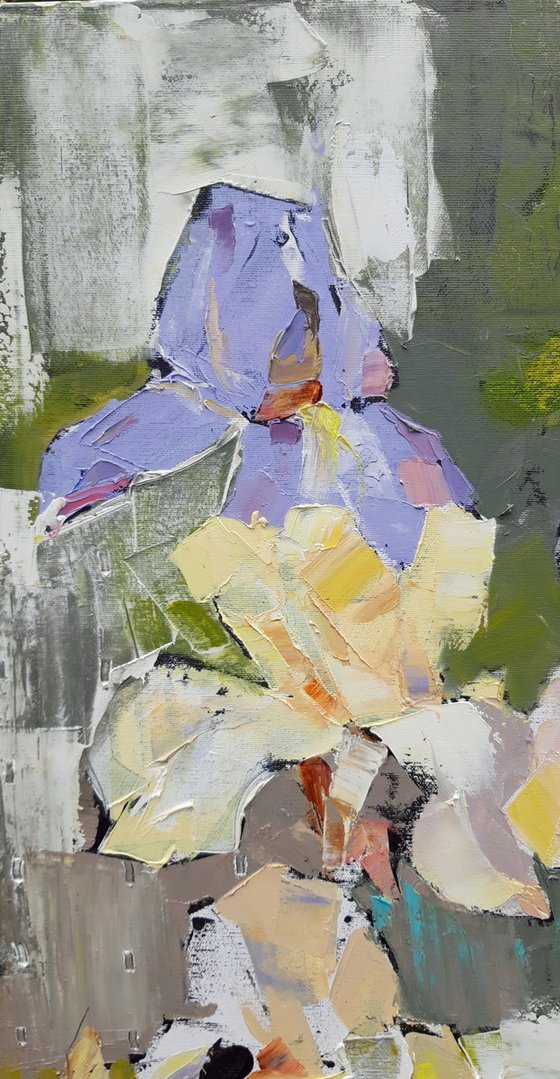 Light of irises