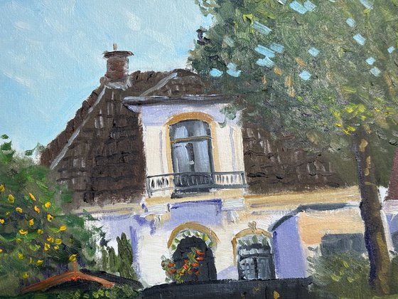 Afternoon light in Beilen