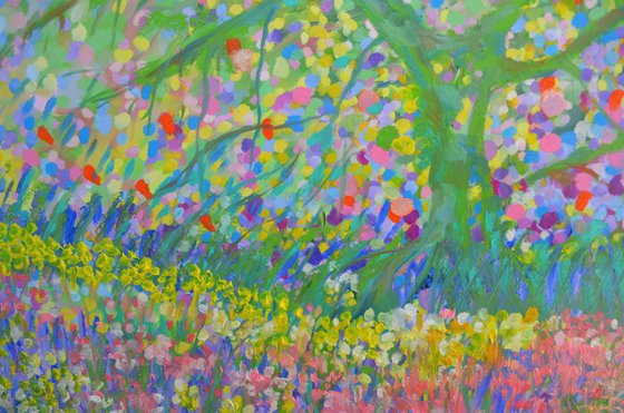 Cherry Blossom Trees 2026