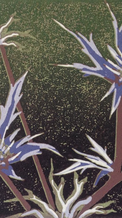 Blue Thistle by Alexandra Buckle