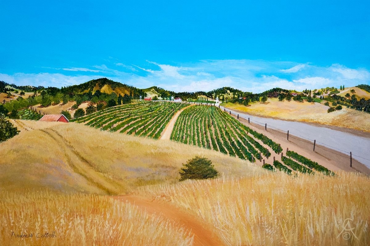 Into Sonoma County by Andrew Cottrell