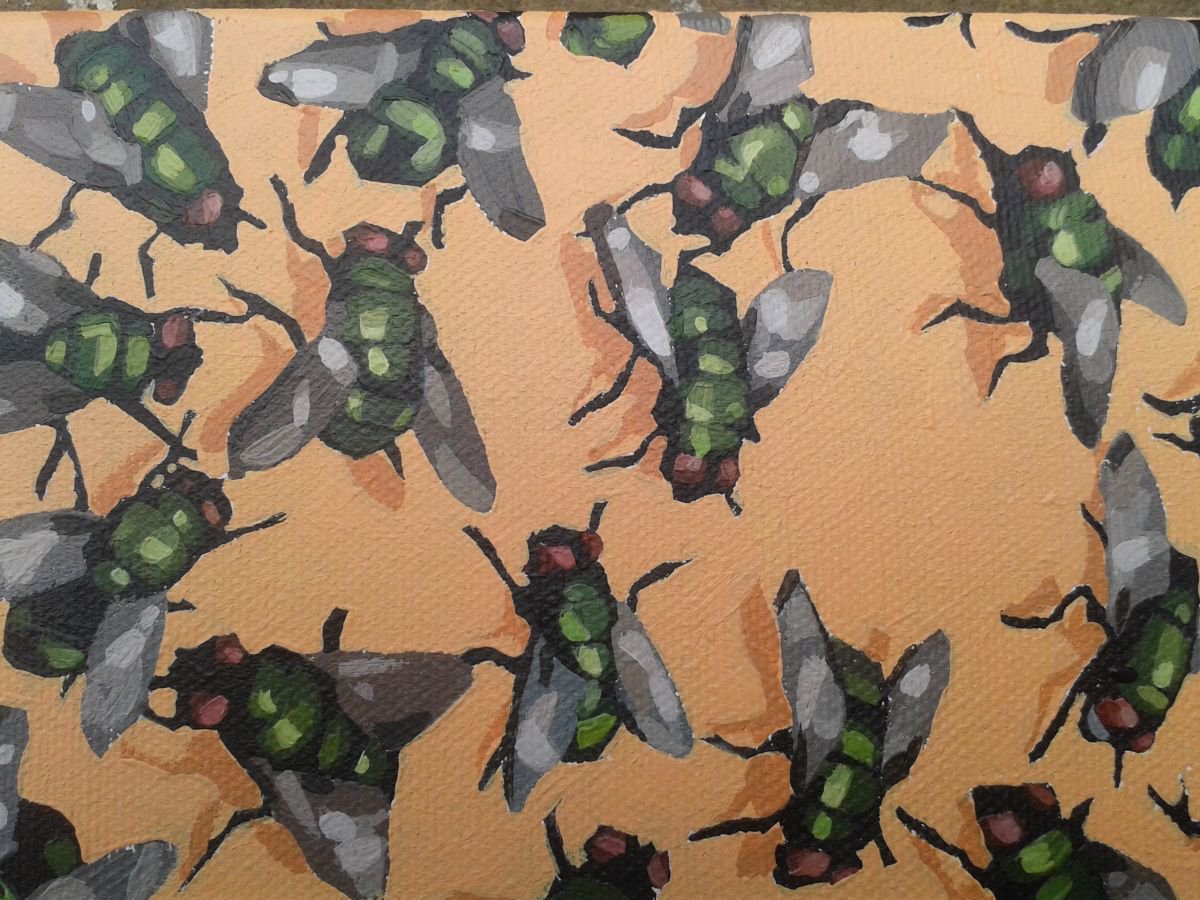 Swarm of Flies by Matthew Stutely