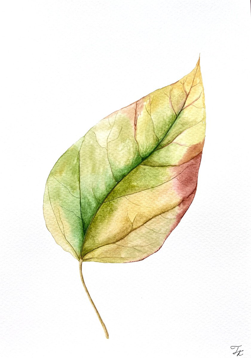 Autumn leaf Sketch #7 by Tetiana Kovalova