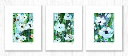 Abstract Floral Collection 5 - 3 Flower Paintings in mats by Kathy Morton Stanion by Kathy Morton Stanion