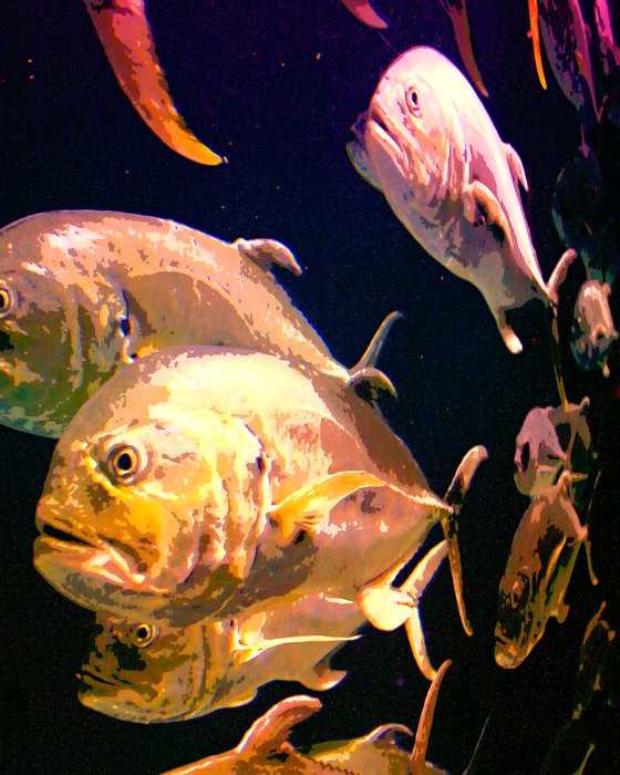 NIGHT AT THE AQUARIUM Atlanta GA