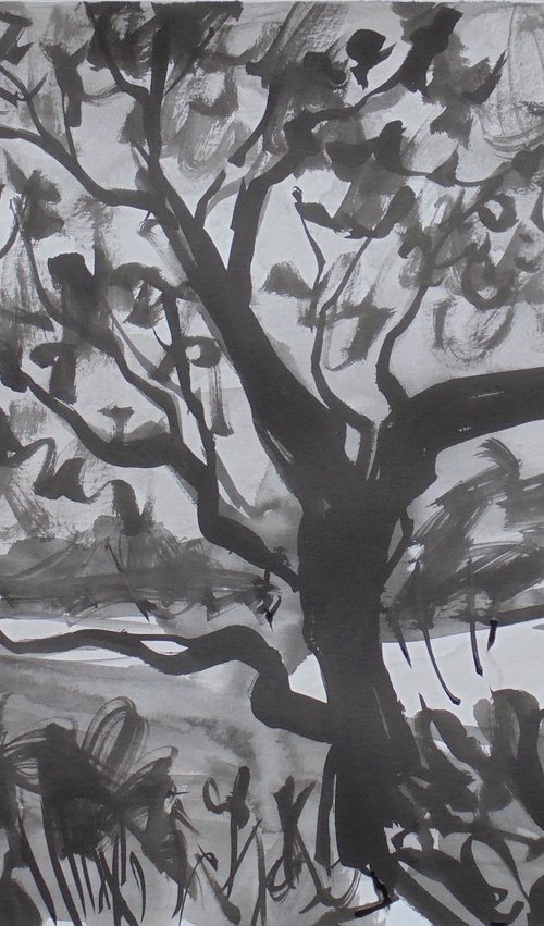 Ink study Jacaranda in Nueva Andalucia II by Kirsty Wain