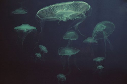 Underwater ballet by Nadia Attura