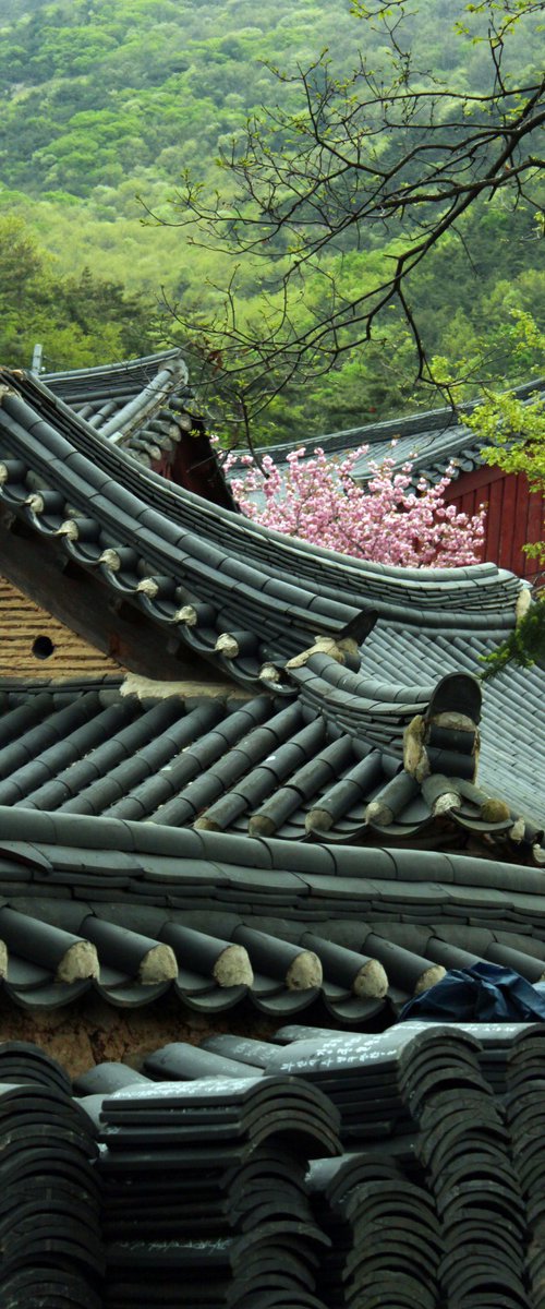 Waiting Tiles, Waiting Season by sangwon jeon