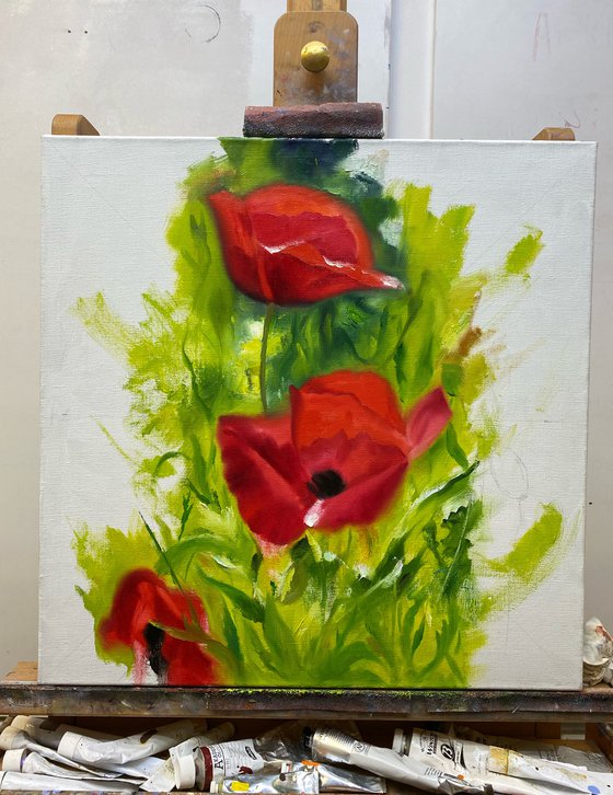 Poppies